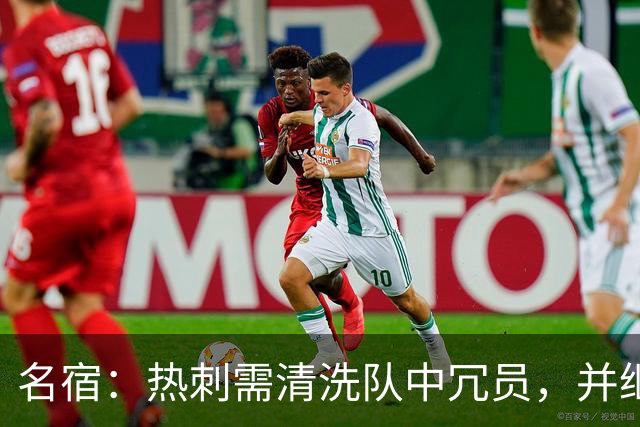 名宿：热刺需清洗队中冗员，并继续引援支持德泽尔比建队