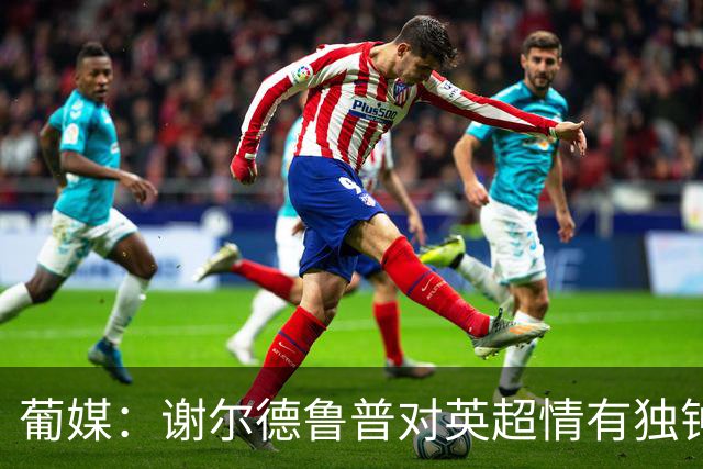 葡媒：谢尔德鲁普对英超情有独钟，俱乐部标价至少4000万欧