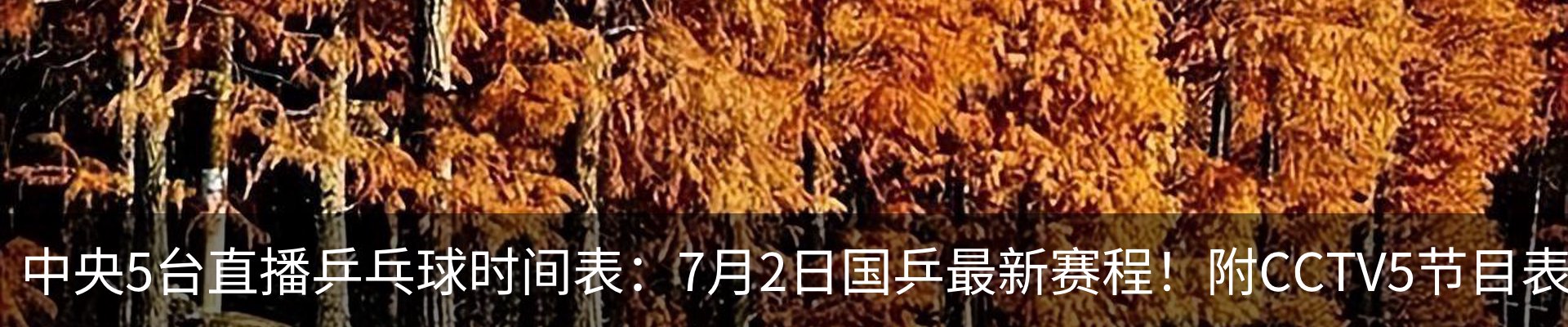 行业资讯